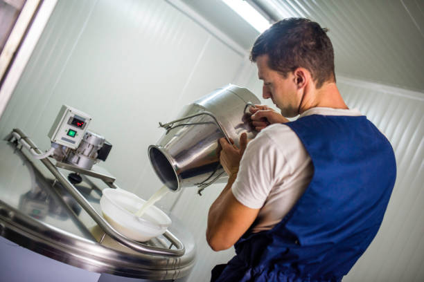 istock Cheese maker pouring milk into a stainless steel canister 1059722566