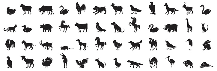 Set and Variation of Domestic and wild animals silhouettes