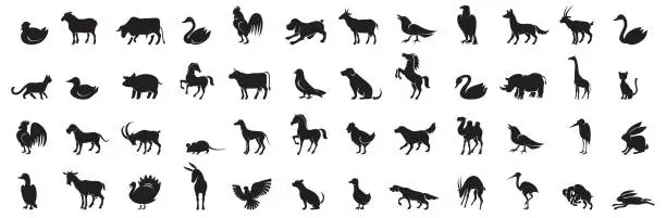 Vector illustration of Animal Icon Silhouette