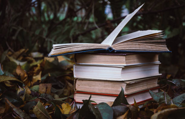 livres anciens sur le fond jaune déchu feuilles en automne jardin - fall semester photos et images de collection