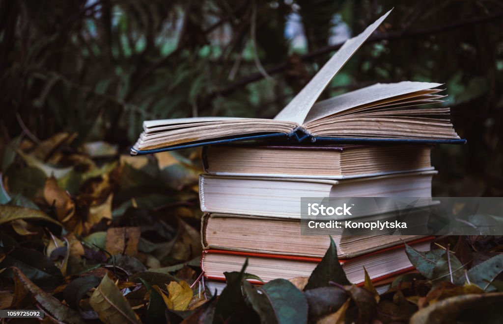 Old books against the background of fallen yellow leaves in the autumn garden stack of old books on the background of the autumn garden and fallen yellow leaves. Exam preparation and study Forest Stock Photo