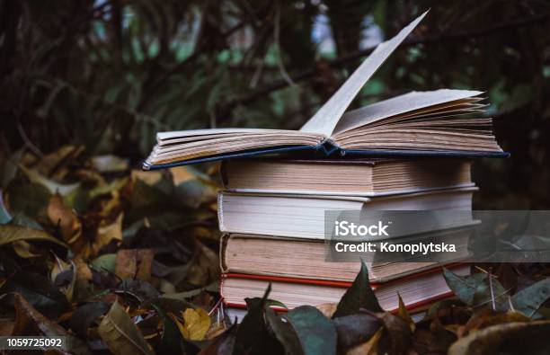 Old Books Against The Background Of Fallen Yellow Leaves In The Autumn Garden Stock Photo - Download Image Now