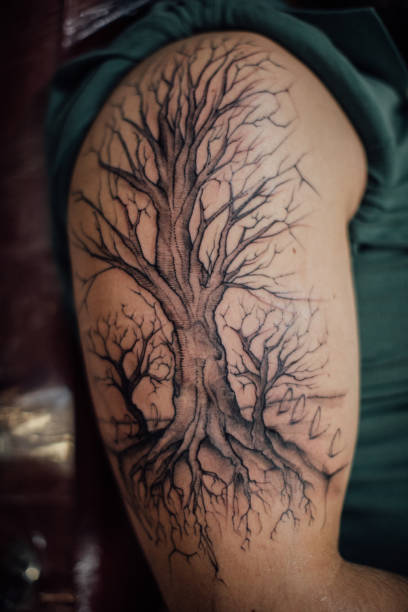 tree tattoo on arm - muscular build men tattoo human arm imagens e fotografias de stock