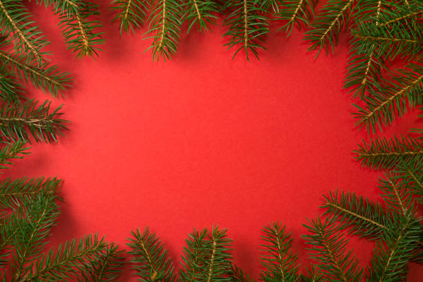 istock Christmas frame red background. Natural fir tree border with copy space for holiday design 1059731358
