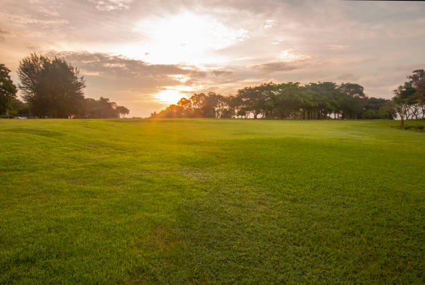 View of the green rolling landscape and bunkers or sand traps at Golf course. The golf field is made in 3D.