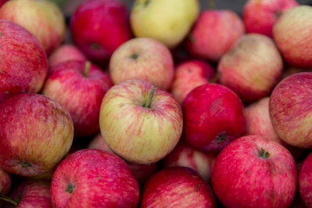 istock large number of red apples 1059739870