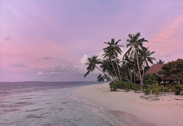 istock Sunset on the beach Atoll island Maldives 1059742986