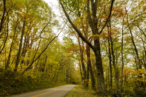 istock Autumn Along the Blue Ridge Parkway 1059744348