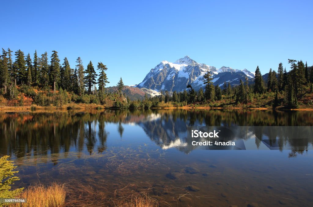 Reflet du Mont Shuksan, Washington-Etats-Unis - Photo de Arbre libre de droits