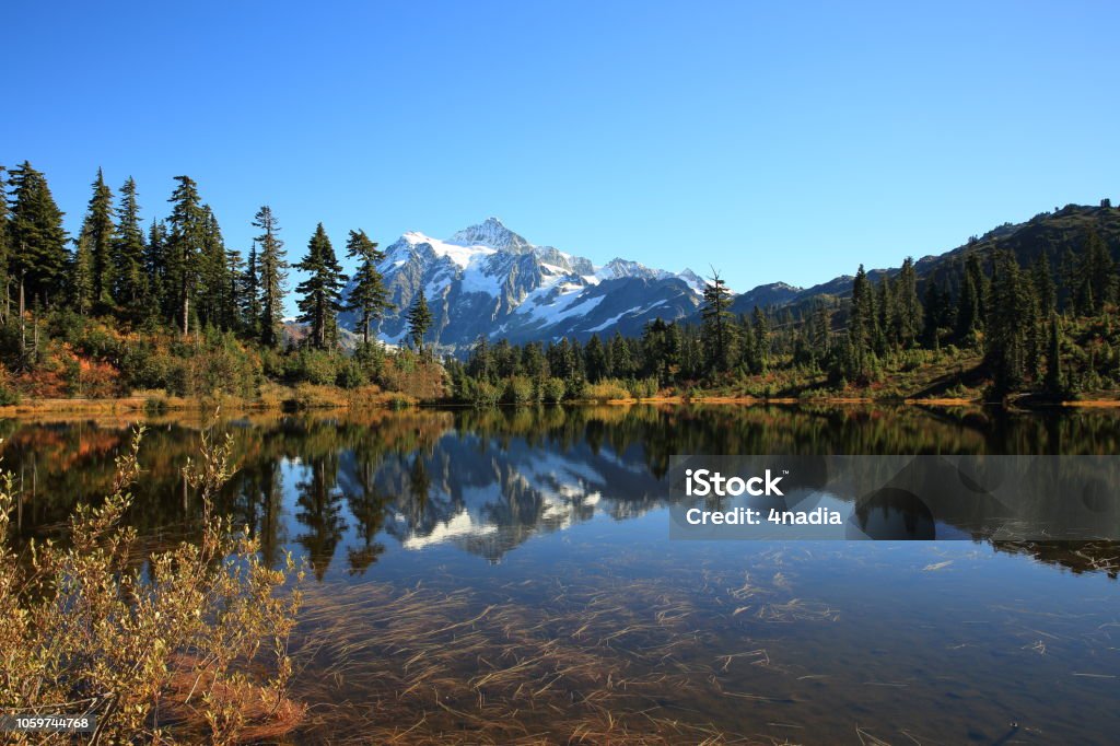 Reflet du Mont Shuksan, Washington-Etats-Unis - Photo de Arbre libre de droits