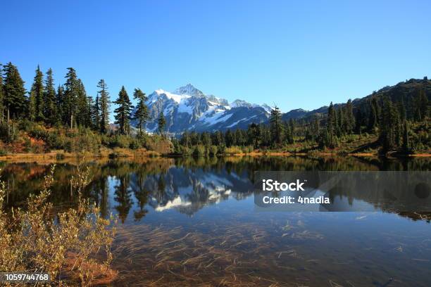 Photo libre de droit de Reflet Du Mont Shuksan Washingtonetatsunis banque d'images et plus d'images libres de droit de Arbre - Arbre, Arbre à feuilles persistantes, Automne