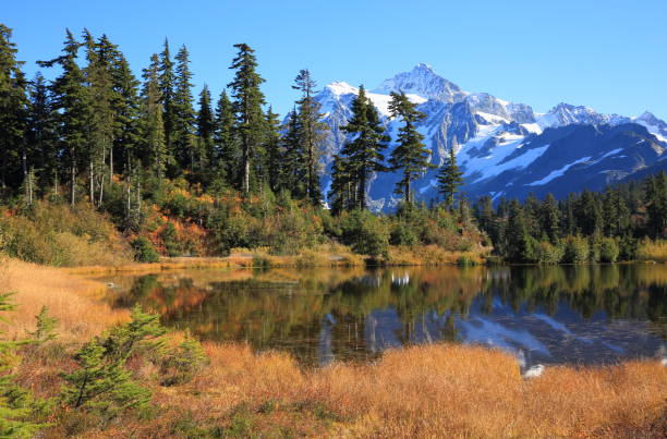 istock Mt. Shuksan Reflection, Washington-USA 1059744772