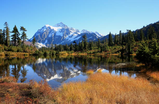 istock Mt. Shuksan Reflection, Washington-USA 1059745082