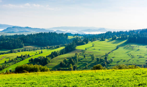 istock Green forests and pastures in the foothills. 1059745398