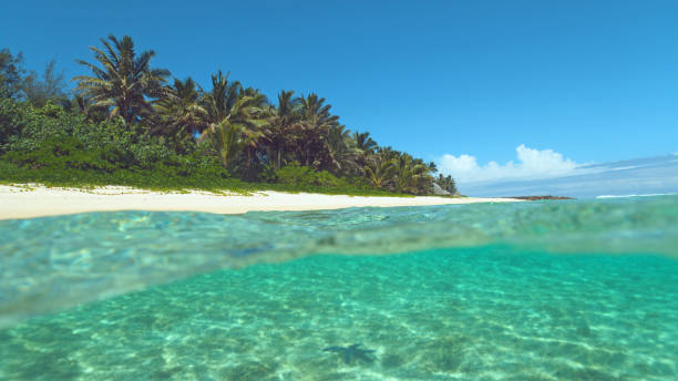 istock HALF UNDERWATER: Turquoise water washes the beautiful exotic white sand beach. 1059748266