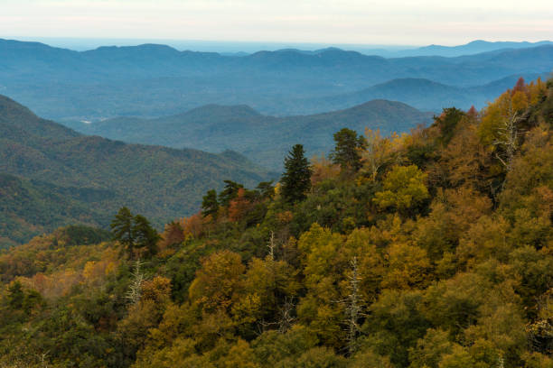 istock Autumn Along the Blue Ridge Parkway 1059748398