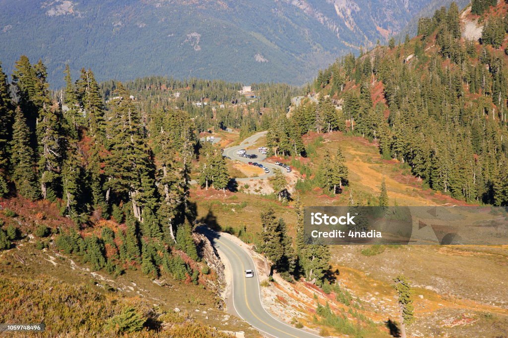 Mt Shuksan Washington-Etats-Unis - Photo de Arbre libre de droits