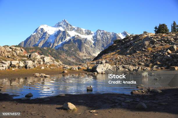 Photo libre de droit de Reflet Du Mont Shuksan banque d'images et plus d'images libres de droit de Arbre - Arbre, Arbre à feuilles persistantes, Automne