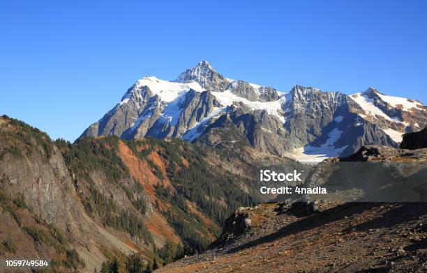 Photo libre de droit de Mt Shuksan Washingtonetatsunis banque d'images et plus d'images libres de droit de Arbre - Arbre, Arbre à feuilles persistantes, Automne