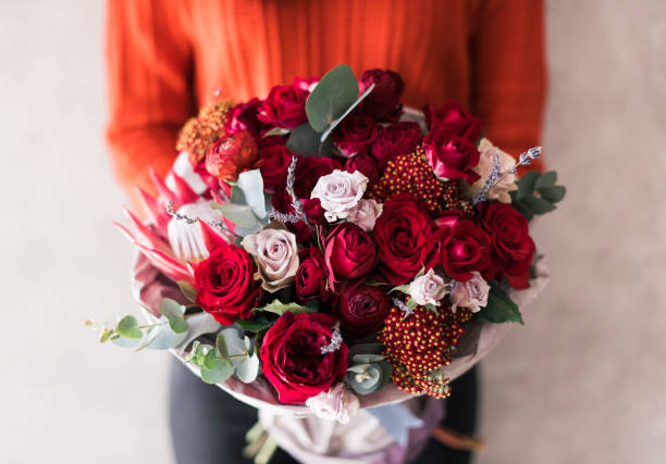 très belle jeune femme en chandail rouge tenant fleur bouquet de fleurs de roses fraîches, oeillets, eucalyptus dans des couleurs vives de passionnés rouges sur le fond du mur gris - flower arrangement photos photos et images de collection