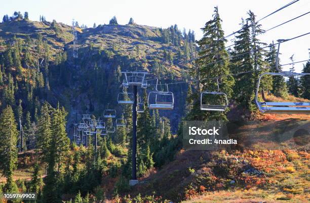 Photo libre de droit de Télésièges Vides À La Station De Ski De Mtbaker Washingtonetatsunis banque d'images et plus d'images libres de droit de Arbre