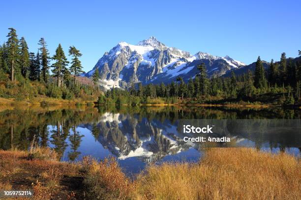 Photo libre de droit de Reflet Du Mont Shuksan banque d'images et plus d'images libres de droit de Arbre - Arbre, Arbre à feuilles persistantes, Automne