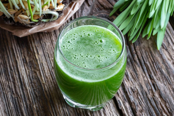 стакан ячменного травяного сока со свежей ячменной травой - barley grass juice green стоковые фото и изображения