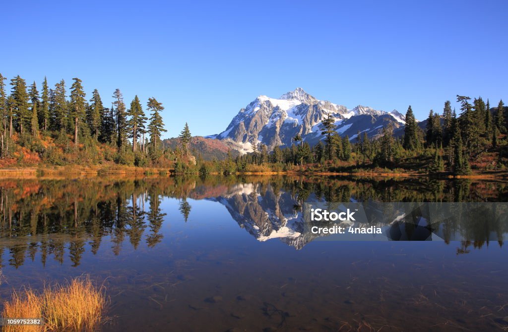 Reflet du Mont Shuksan - Photo de Arbre libre de droits