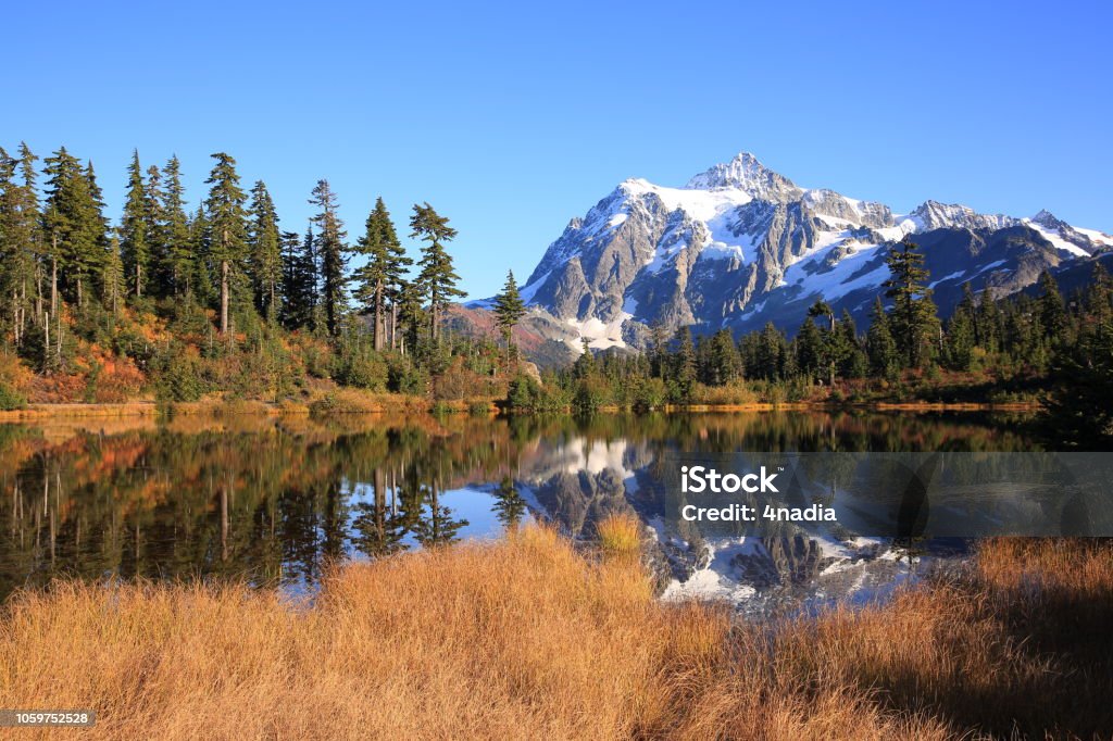 Reflet du Mont Shuksan - Photo de Arbre libre de droits