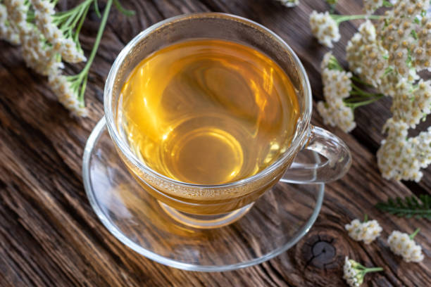 istock A cup of yarrow tea with fresh yarrow 1059753200