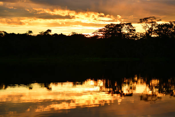 istock Sunset at Yasuni National Park, Ecuador 1059761132