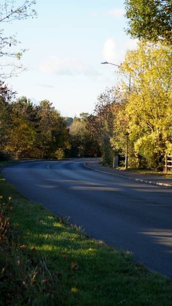 istock Autumn treelined curved road. 1059763462