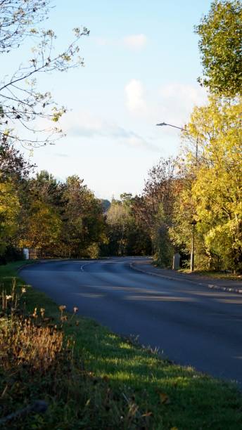 istock Autumn treelined curved road. 1059763464