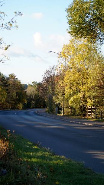 istock Autumn treelined curved road. 1059763470