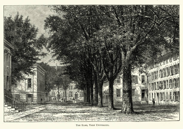The Elm trees, Yale University, 19th Century Vintage engraving of The Elm trees, Yale University, 19th Century connecticut stock illustrations