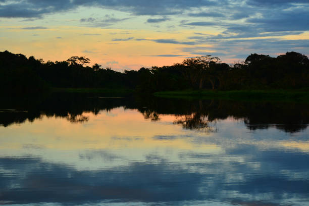 istock Sunset at Yasuni National Park, Ecuador 1059767048