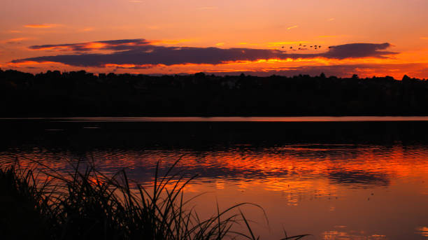 istock Flying birds in an orange sunset 1059769810