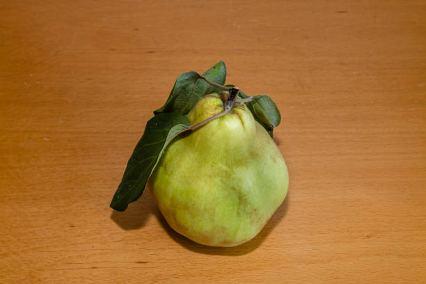 quince isolated on wood table