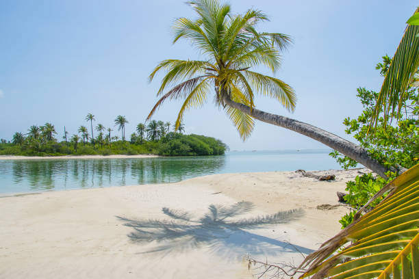 san blas islands - panama san blas islands central america island imagens e fotografias de stock