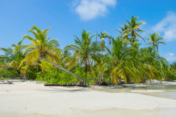 san blas islands - panama san blas islands central america island imagens e fotografias de stock