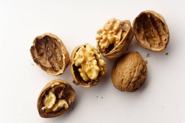 Raw Walnut Shells 10,000+ Walnut Shell Stock Photos, Pictures & Royalty-Free Images - iStock