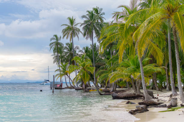 san blas islands - panama san blas islands central america island imagens e fotografias de stock