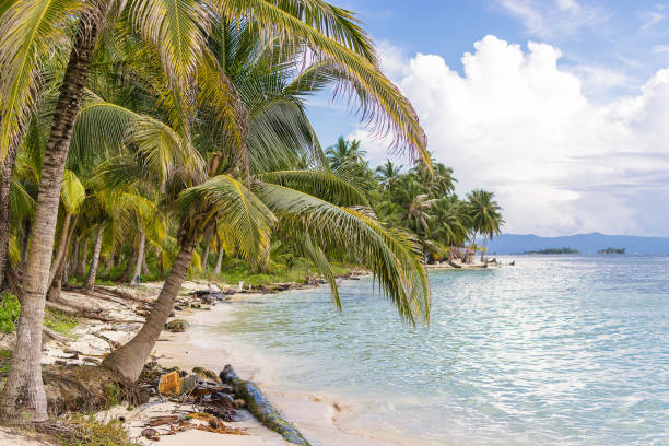 san blas islands - panama san blas islands central america island imagens e fotografias de stock