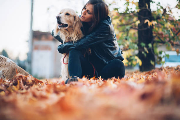 istock One beautiful day with my dog! 1059785306