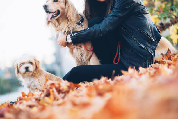 istock One beautiful day with my dog! 1059785446