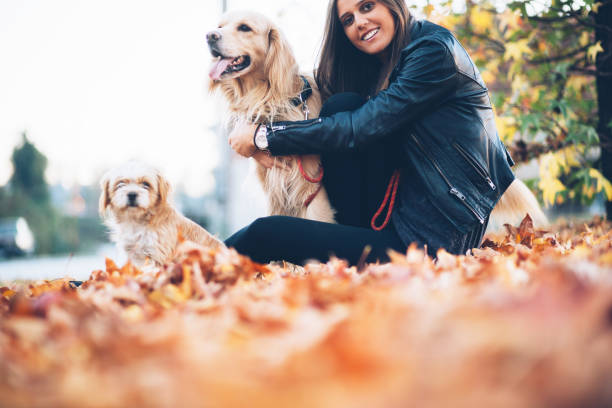 istock One beautiful day with my dog! 1059785704