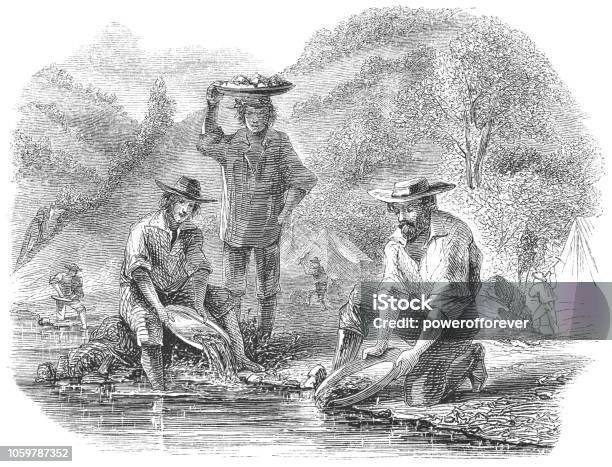 Panning For Gold At The Mokelumne River In California Usa Stock Illustration - Download Image Now