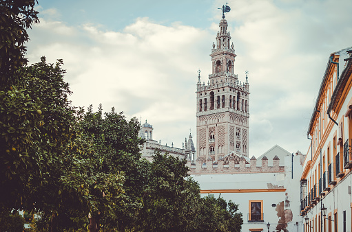 View of the Giralda tower in Sevilla, Spain, behind the orange typical orange trees