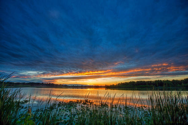 istock Last Light at Lake witn Water Plants 1059794656