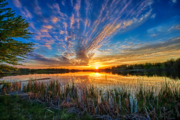 istock Sunset over Water with Cattail 1059817446